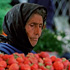 Photo Gallery of Romania